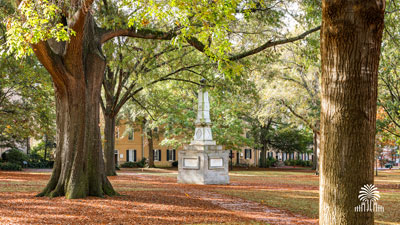 The Horseshoe on a sunny day with tree and gates mark.