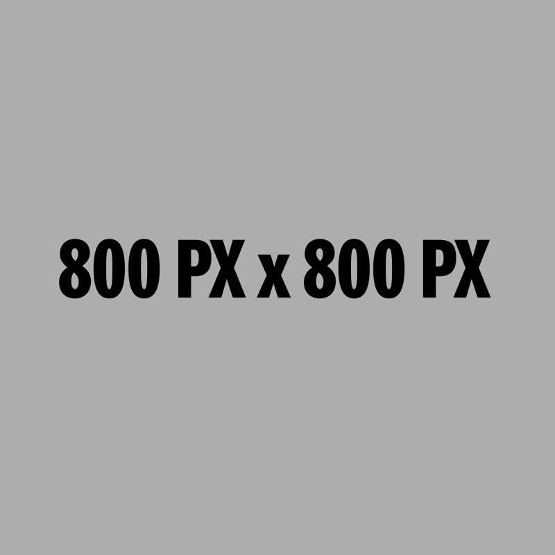 800 x 800 placeholder image