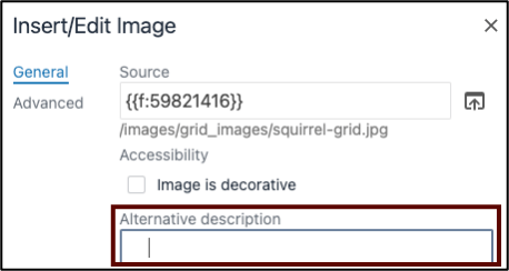 Screenshot of the Insert/edit image dialog. The cursor in the alternative description field is shifted to the right due to white space being added.
