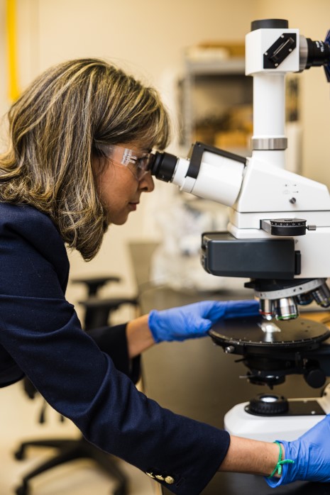 Image of Dr. Sadati looking through a high-powered microscope.