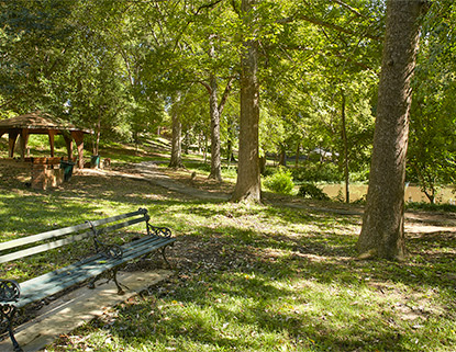 A.C. Moore Garden