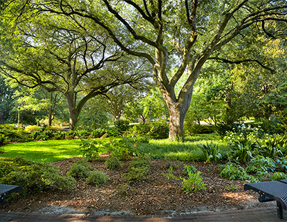 Gibbes Green located near McKissick