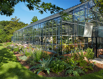 University Greenhouse