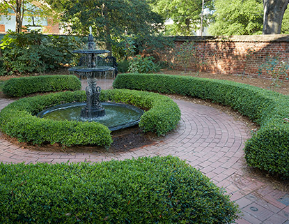 Norma Cannon Palms Rose Garden