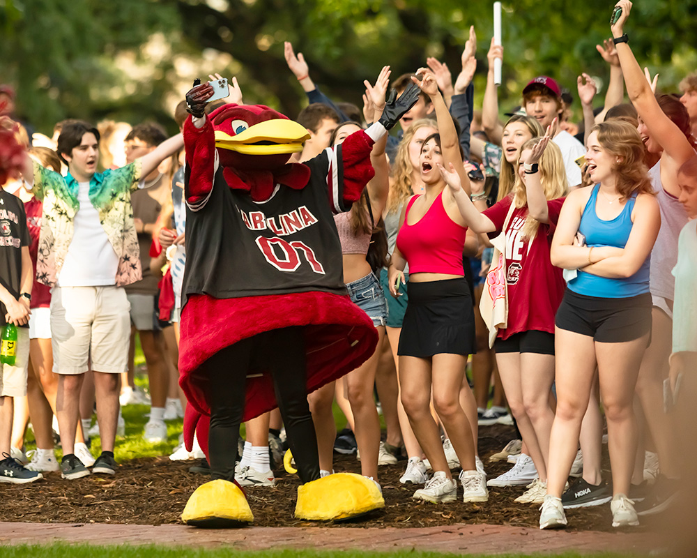 Students cheering with cocky on the Horseshoe. 