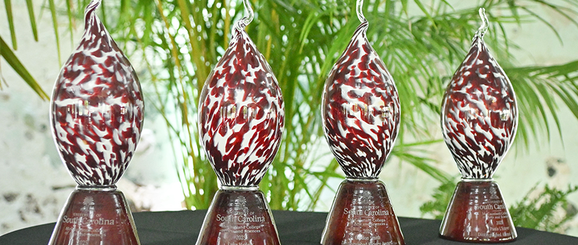  ROE Awards