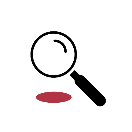 magnifying glass icon