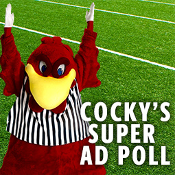 Super Ad Poll