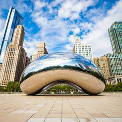 Chicago Bean