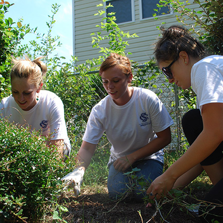 Students Participating in Community Service