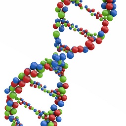 DNA