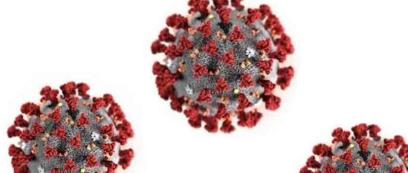 Covid 19 virus on white background.