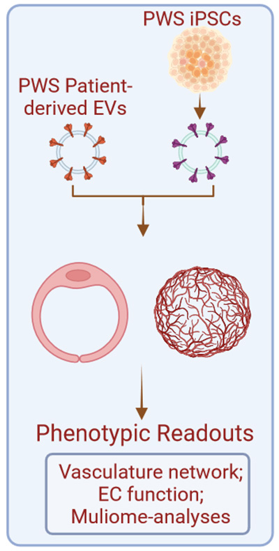 Project Two Diagram