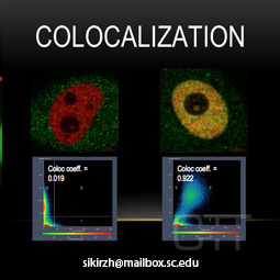 Colocalization