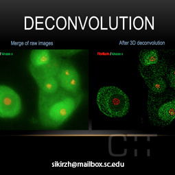 Deconvolution