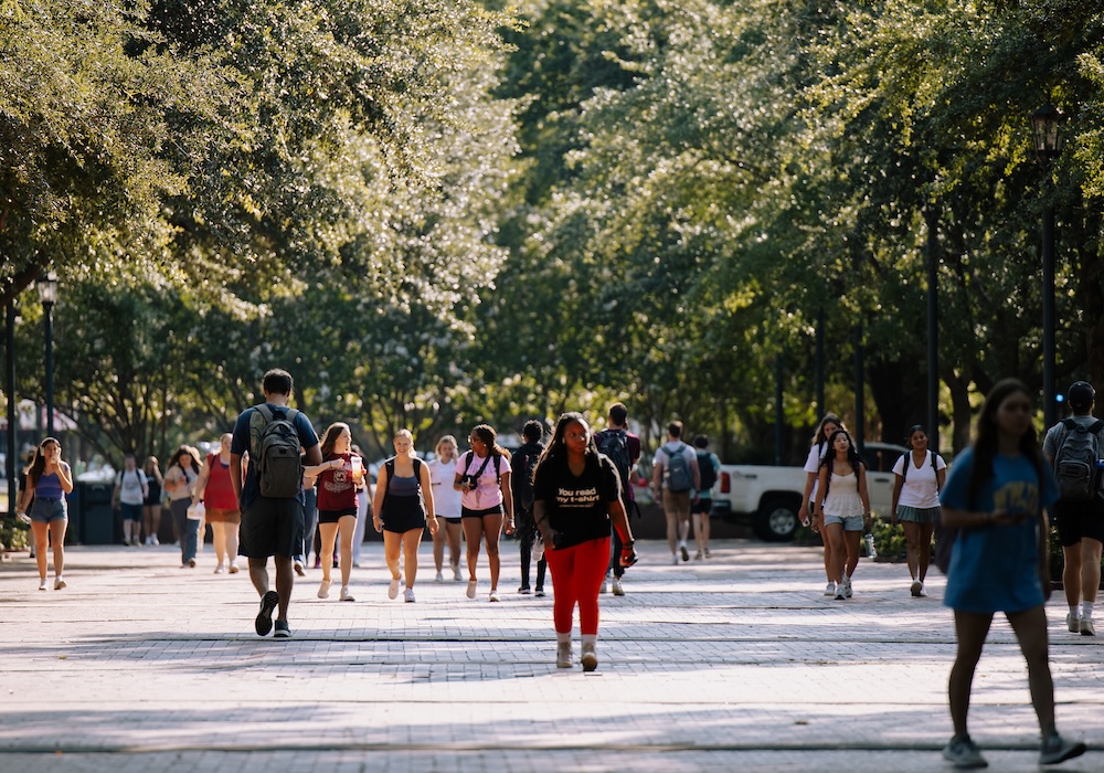 students walk over bricks during sunny day