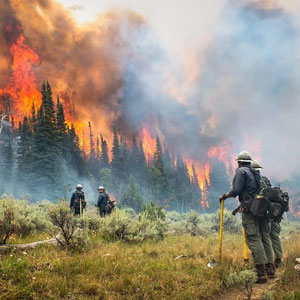 A stock image of firefighters watching a blazing wildfire.